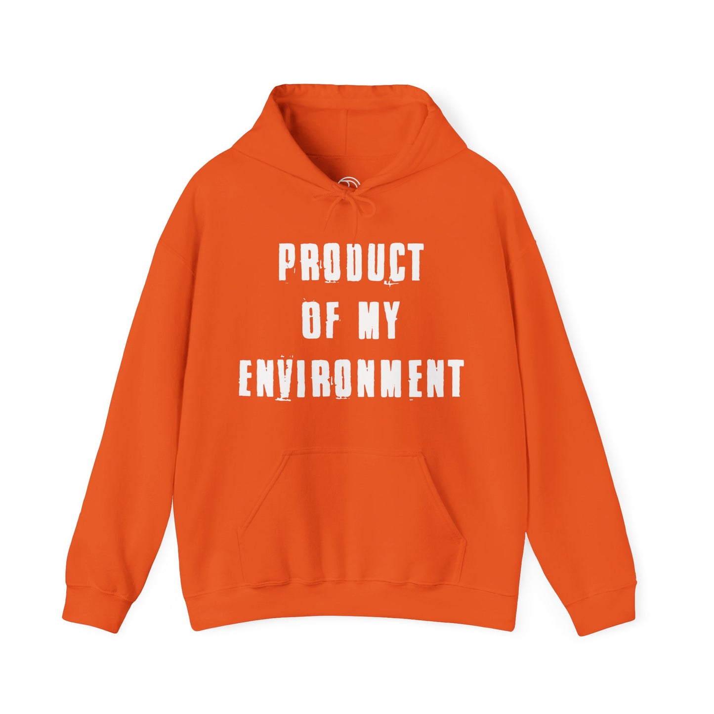 Product Of My Environment Hoodie